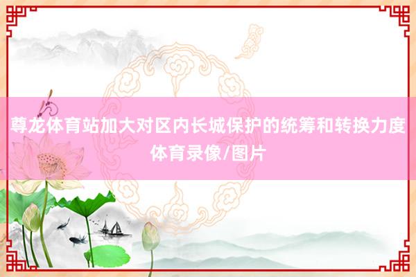 尊龙体育站加大对区内长城保护的统筹和转换力度体育录像/图片