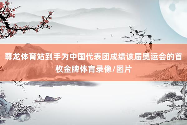 尊龙体育站到手为中国代表团成绩该届奥运会的首枚金牌体育录像/图片