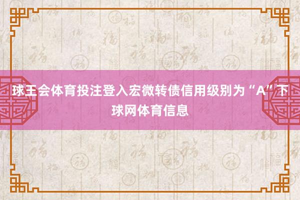 球王会体育投注登入宏微转债信用级别为“A”下球网体育信息