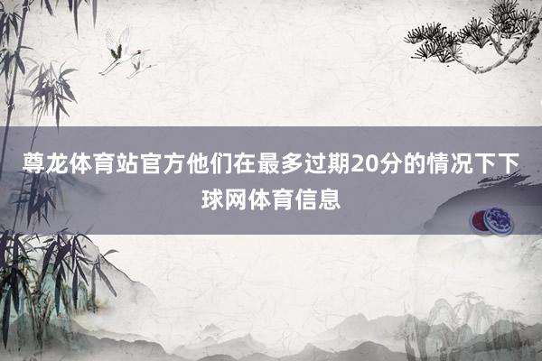 尊龙体育站官方他们在最多过期20分的情况下下球网体育信息