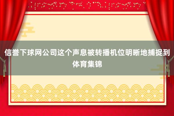 信誉下球网公司这个声息被转播机位明晰地捕捉到体育集锦