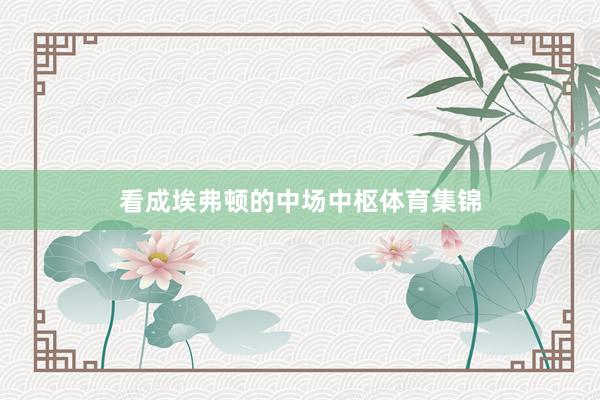 看成埃弗顿的中场中枢体育集锦