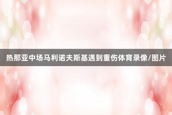 热那亚中场马利诺夫斯基遇到重伤体育录像/图片