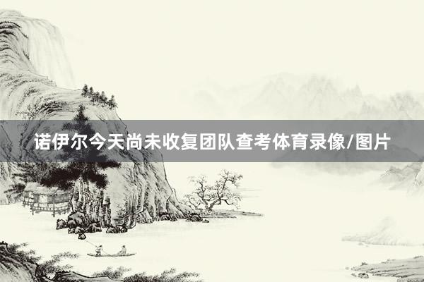诺伊尔今天尚未收复团队查考体育录像/图片