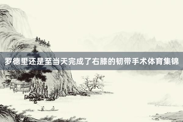 罗德里还是至当天完成了右膝的韧带手术体育集锦