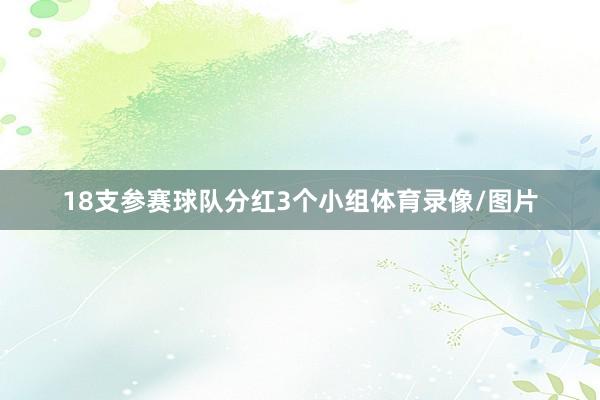 18支参赛球队分红3个小组体育录像/图片