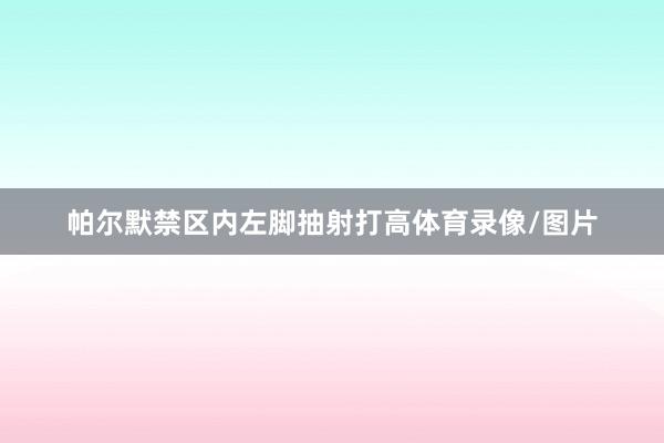 帕尔默禁区内左脚抽射打高体育录像/图片