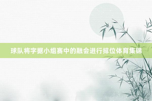 球队将字据小组赛中的融会进行排位体育集锦