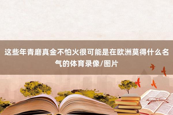 这些年青磨真金不怕火很可能是在欧洲莫得什么名气的体育录像/图片