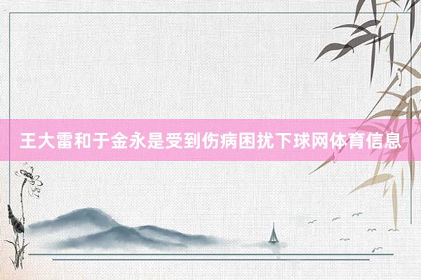 王大雷和于金永是受到伤病困扰下球网体育信息