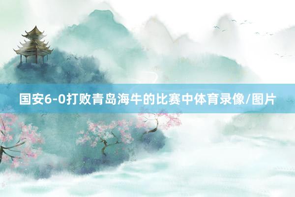 国安6-0打败青岛海牛的比赛中体育录像/图片