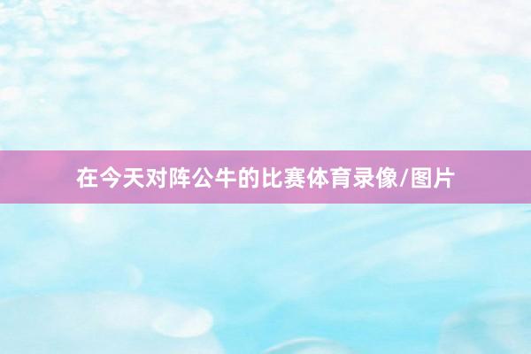 在今天对阵公牛的比赛体育录像/图片