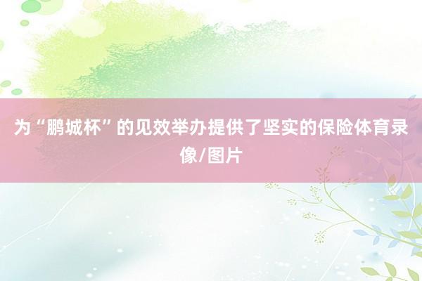 为“鹏城杯”的见效举办提供了坚实的保险体育录像/图片