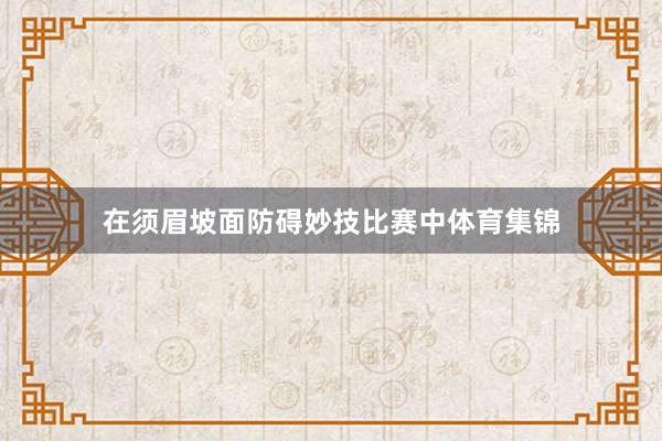 在须眉坡面防碍妙技比赛中体育集锦