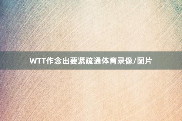 WTT作念出要紧疏通体育录像/图片