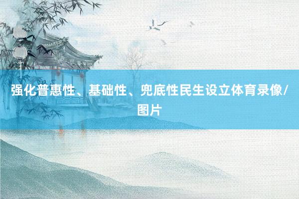 强化普惠性、基础性、兜底性民生设立体育录像/图片