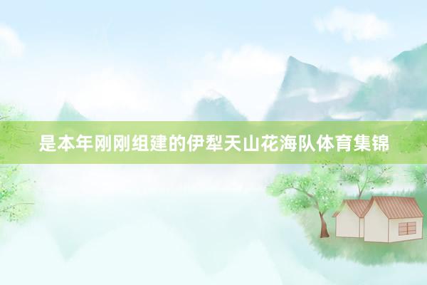 是本年刚刚组建的伊犁天山花海队体育集锦