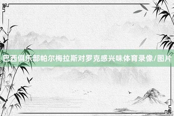 巴西俱乐部帕尔梅拉斯对罗克感兴味体育录像/图片