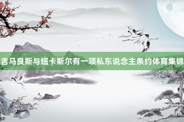 吉马良斯与纽卡斯尔有一项私东说念主条约体育集锦