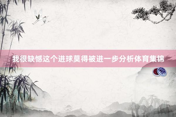 我很缺憾这个进球莫得被进一步分析体育集锦