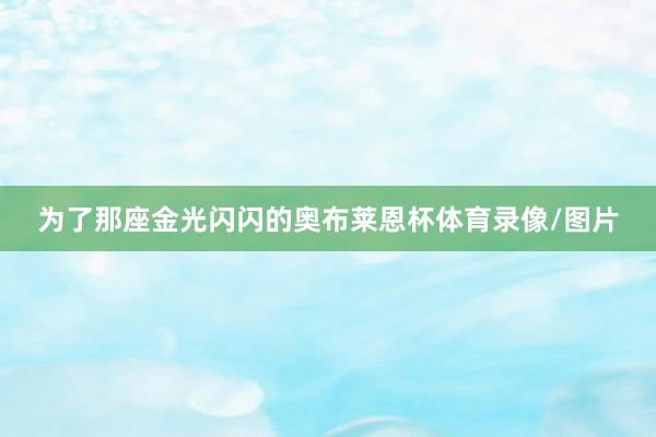 为了那座金光闪闪的奥布莱恩杯体育录像/图片