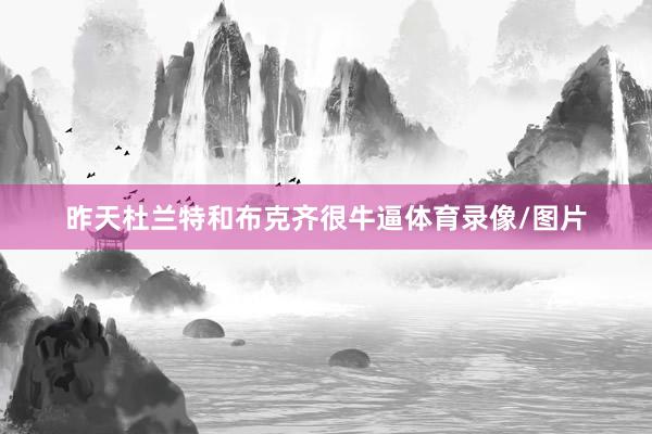 昨天杜兰特和布克齐很牛逼体育录像/图片