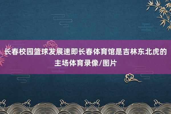 长春校园篮球发展速即长春体育馆是吉林东北虎的主场体育录像/图片