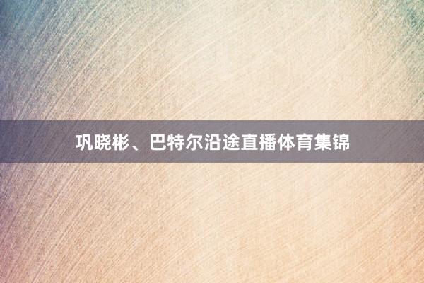 巩晓彬、巴特尔沿途直播体育集锦