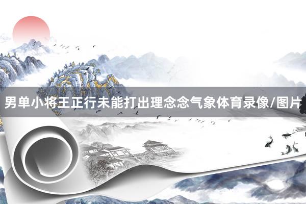 男单小将王正行未能打出理念念气象体育录像/图片